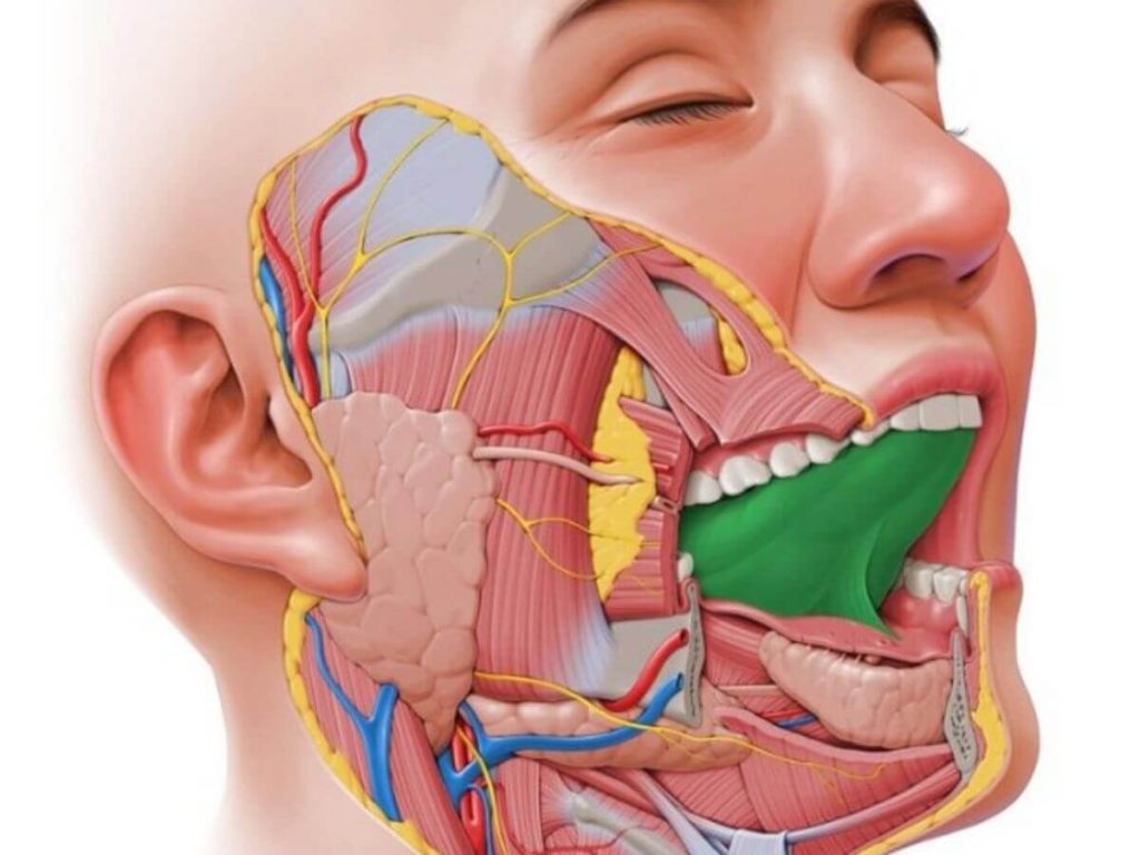 how is tongue tie diagnosed