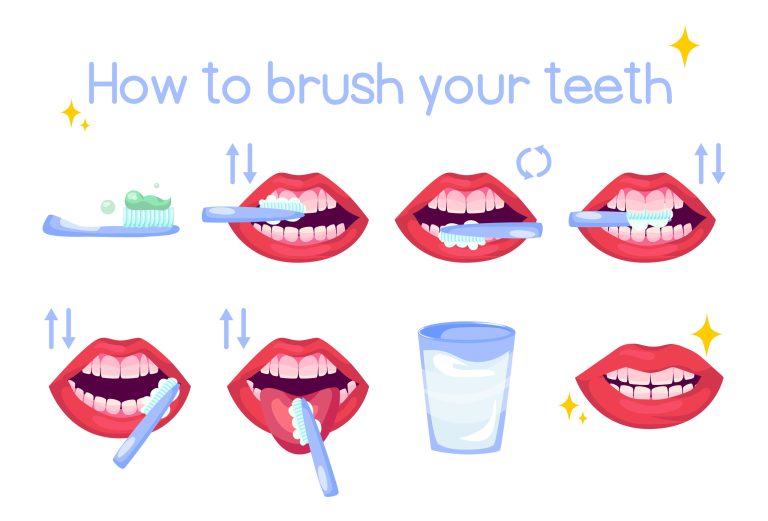 Step-by-step illustrated guide showing how to brush teeth properly